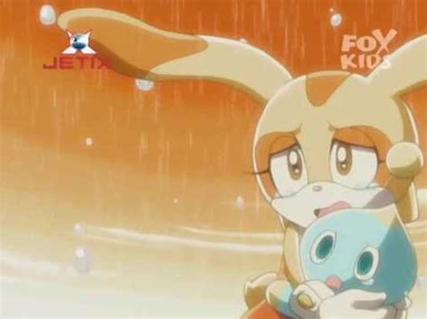 Cream the rabbit (クリーム・ザ・ラビット, kurīmu za rabitto?) is a fictional character from the sonic the hedgehog series. Sonic X - Capitulo 46 - Una victoria salvaje - Parte 3/3 - Español (ALTA CALIDAD) - YouTube