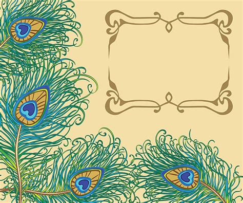 royalty free peacock feather border backgrounds clip art vector images and illustrations istock