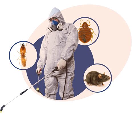 Quality Pest Control Cheapest Clearance Save 62 Jlcatjgobmx
