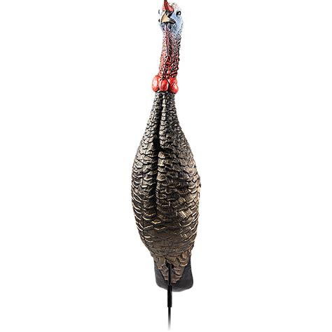 Flextone Funky Chicken Gen 2 Turkey Decoy Kinseys Inc