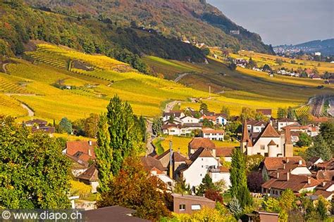 Consultez sur tripadvisor 69 avis de voyageurs et trouvez des conseils sur les endroits où sortir, manger et dormir à cressier, canton of neuchatel. Photos Régis Colombo - Photographe professionnel ...