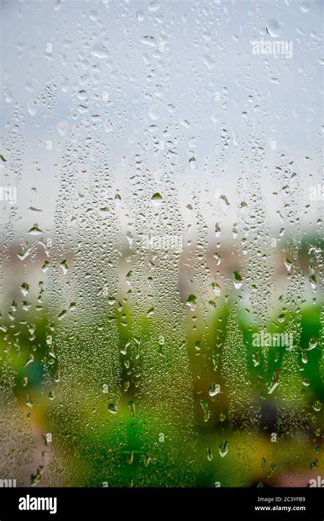 Raindrops On The Window Glass Looking Out Through The Window Listening