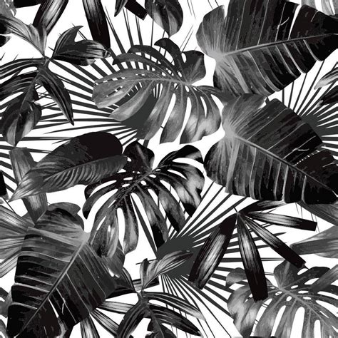 Black And White Tropical Palm Trees Black And White Background Black