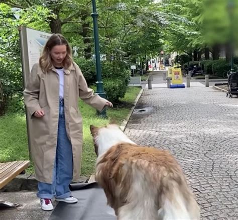 Hombre Gast M S De Mil D Lares Para Transformarse En Un Perro La