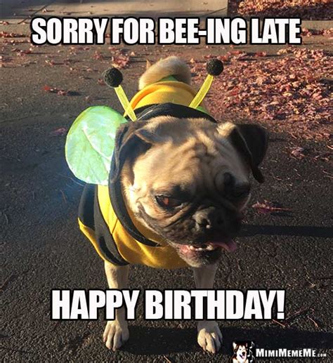 19 Funny Happy Belated Birthday Meme Pictures Collection Memesboy