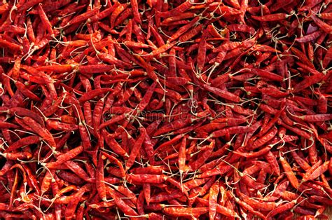 Spicy Red Pepper Stock Image Image Of Pepper Marjoram 37672443