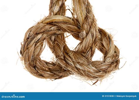 Palm Rope With Simple Knot Royalty Free Stock Photos Image 3151838