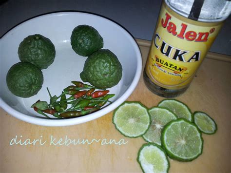 Diy racun rumput dari 2 bahan dapur, rumput cepat mati senang nak cabut. diari kebun~@na: Cat repellent cum racun organik - DIY