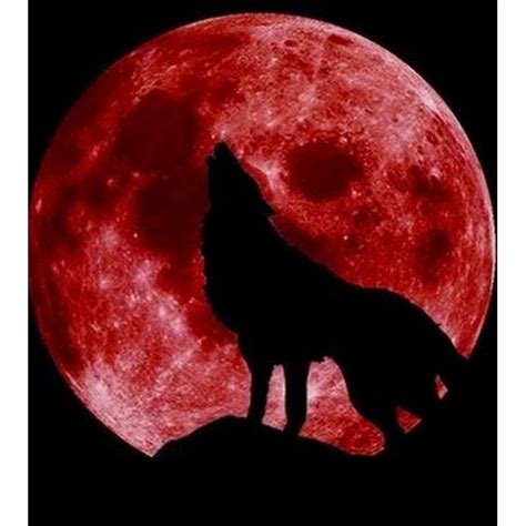 Kaya let us all be thankful kasi para sa atin namang lahat ang ginagawa nila. Luna de sangre hoy | Critica