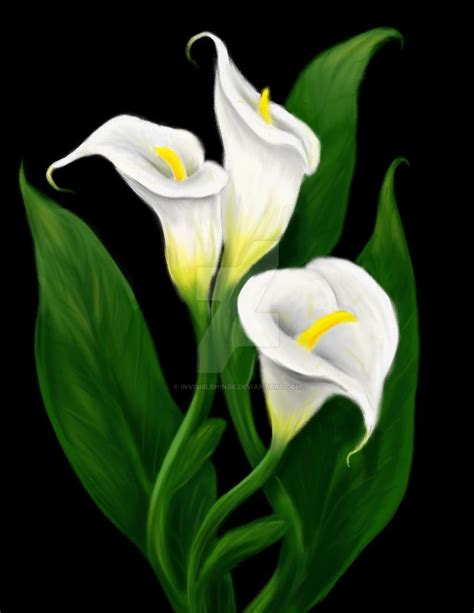Calla Lilies By Invisiblehinge On Deviantart Lily Painting Lilies