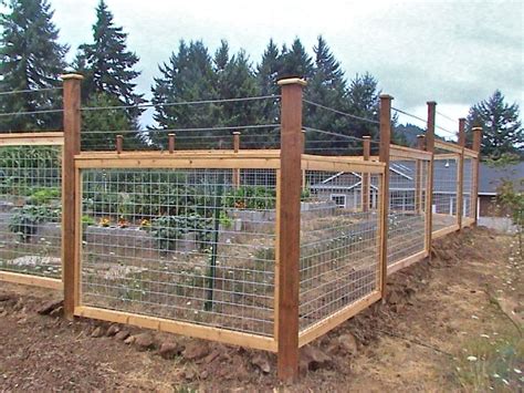 Garden Fence Ideas For Deer Stty Sane