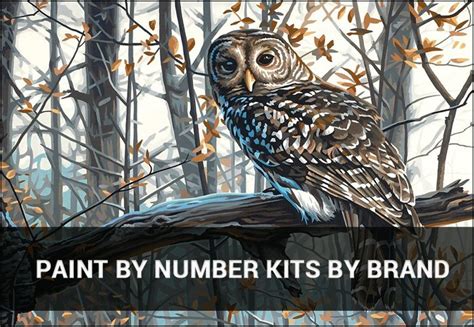 Paint by number is an art drawing game to color modern artworks with coloring by numbers. Paint By Number Kits for Adults | Fantastic Selection of ...