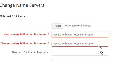 *enter dns.google as the hostname of the dns provider. Modify your DNS records | Doteasy Web Hosting Canada