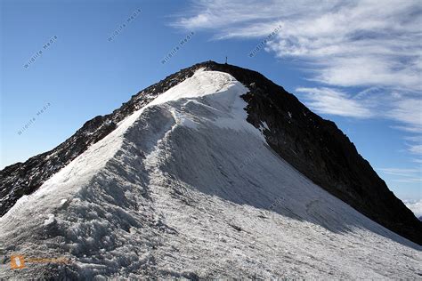 Similaun is the dominating mountain nearby and therefor. Bestellen - Similaun (Similaun) Bild - Bildagentur
