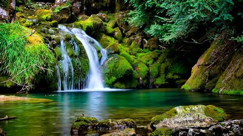 Hd Wallpaper Waterfall Nature River Stream Rock Forest Stone
