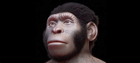 Homo Naledi Your Recently Discovered Human Relative Natural History