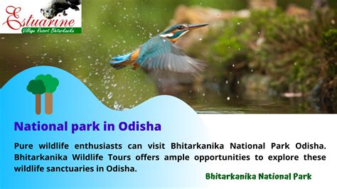 Visiting Bhitarkanika National Park In Odisha Heres Your Travel Guide