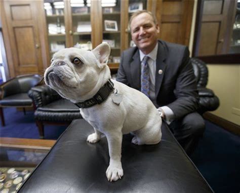 The french bulldog was recognized by the united kennel club. Lawmakers want Amtrak to allow small pets on trains