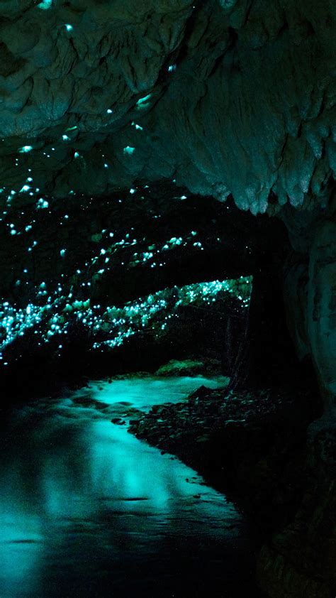 Famous Waitomo Glowworm Cave Waikato New Zealand Windows Spotlight
