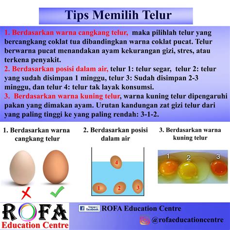 [Apakah Kamu Tahu?] Tips Memilih Telur ~ ROFA Education Centre