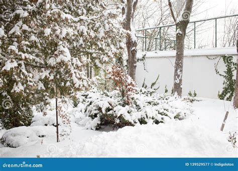 Snow Covered Backyard Stock Image Image Of Season 139529577