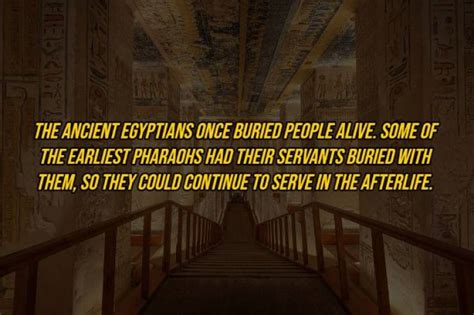 fascinating facts about ancient egypt 17 pics 1