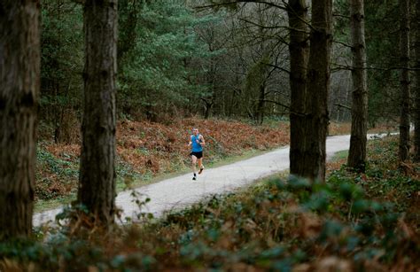 5km Running Route At Sherwood Pines Forestry England