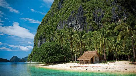 beach hut tropical nature summer palm trees island