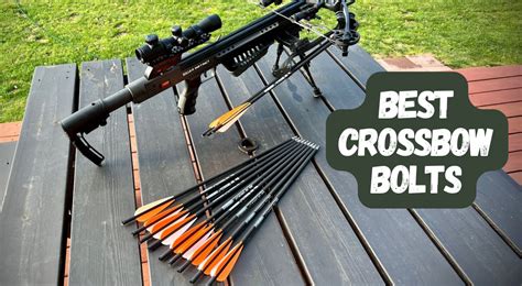 5 Best Crossbow Bolts 🏹 For Hunters And Target Shooters