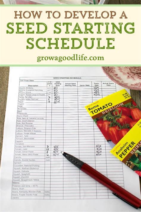 How To Make A Seed Starting Schedule Garden Layout Vegetable Edible