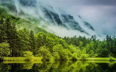 Nature Landscape Green Lake Mist Forest Mountain