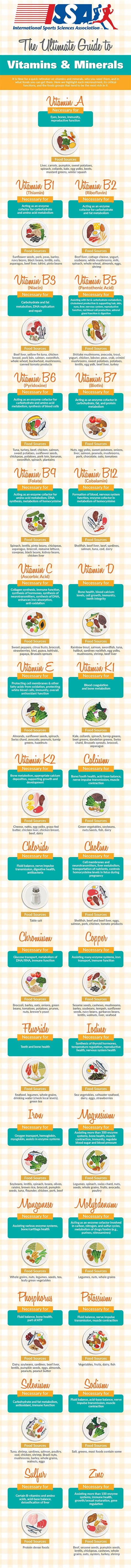 Vitamin b1(thiamin) processes carbohydrates into energy and is necessary for nerve cell function. Infographic: Guide to Vitamins & Minerals | ISSA