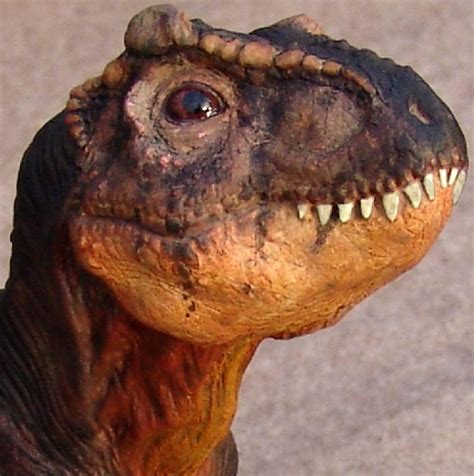 Baby Trex Semi Profile By Gorgosaurus On Deviantart