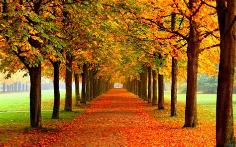 Dreamful Autumn Macbook Air Wallpaper Download Allmacwallpaper
