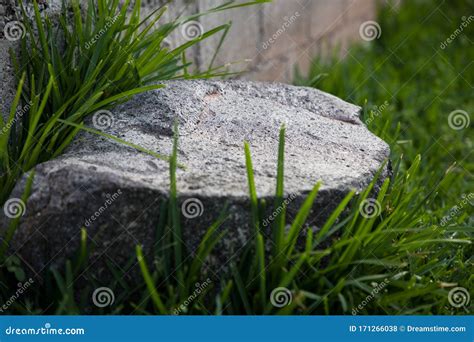 A Sleek Rock On Grass Stock Photo Image Of Perspective 171266038