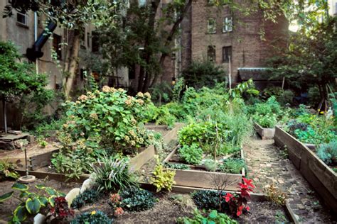 A community garden located in new york city in the east village of manhattan. Travelettes » » The Gardens of Eden in the Big Apple
