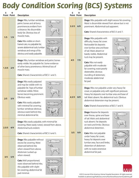 What is Body Condition Score (BCS)? · Raleigh Vet Answers
