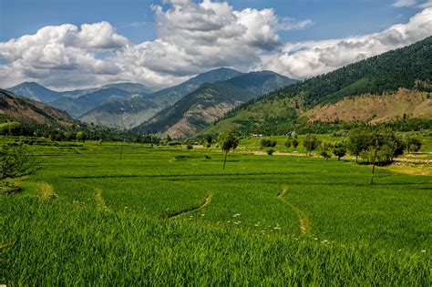 Lolab Valley Kashmir Paradise Kashmir