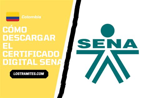 Certificado Digital Sena Cómo Descargarlo 【julio 2022】