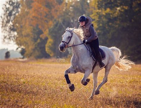 Galloping White Horse And Rider Horses Horse Love Beautiful Horses