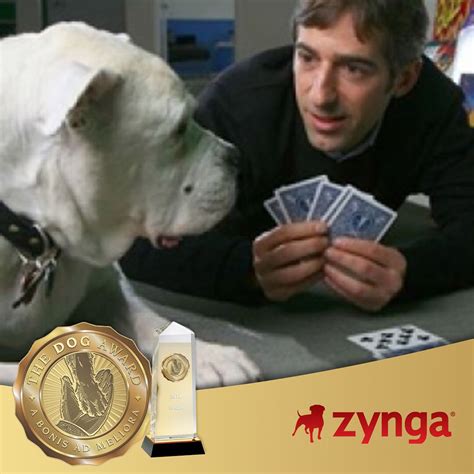 Dogswork Named Zynga As A 2018 Recipient Of The Dog Award The Dog
