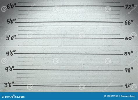 Mugshot Dog At Police Station Royalty-Free Stock Photography