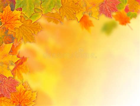 Autumn Background Stock Photo Image Of Colorful Blur 35007188