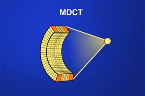 Note that in all of the models, the. Medical Illustration Gallery - Learning Modules | CT ...
