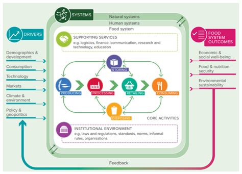 Sustainability | Free Full-Text | SDG Performance in Local Organic Food