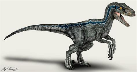 10 Velociraptor Dibujo