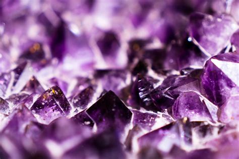 Free Images Rock Leaf Purple Petal Stone Jewellery Amethyst