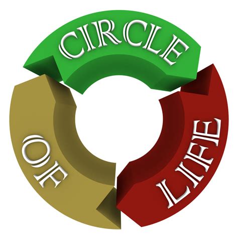 Circle Of Life Arrows In Circular Cycle Showing Connections Margaret
