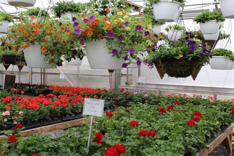 It features our new products and this year it also includes our vegetable and herb plants. Hillside Garden Center | RealLancasterCounty.comReal ...