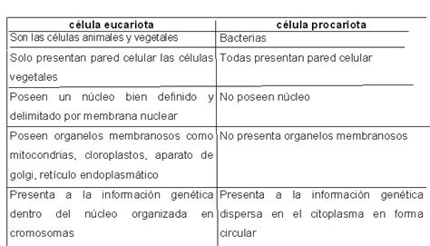 Cuadros Comparativos Entre Células Procariotas Y Eucariotas Cuadro